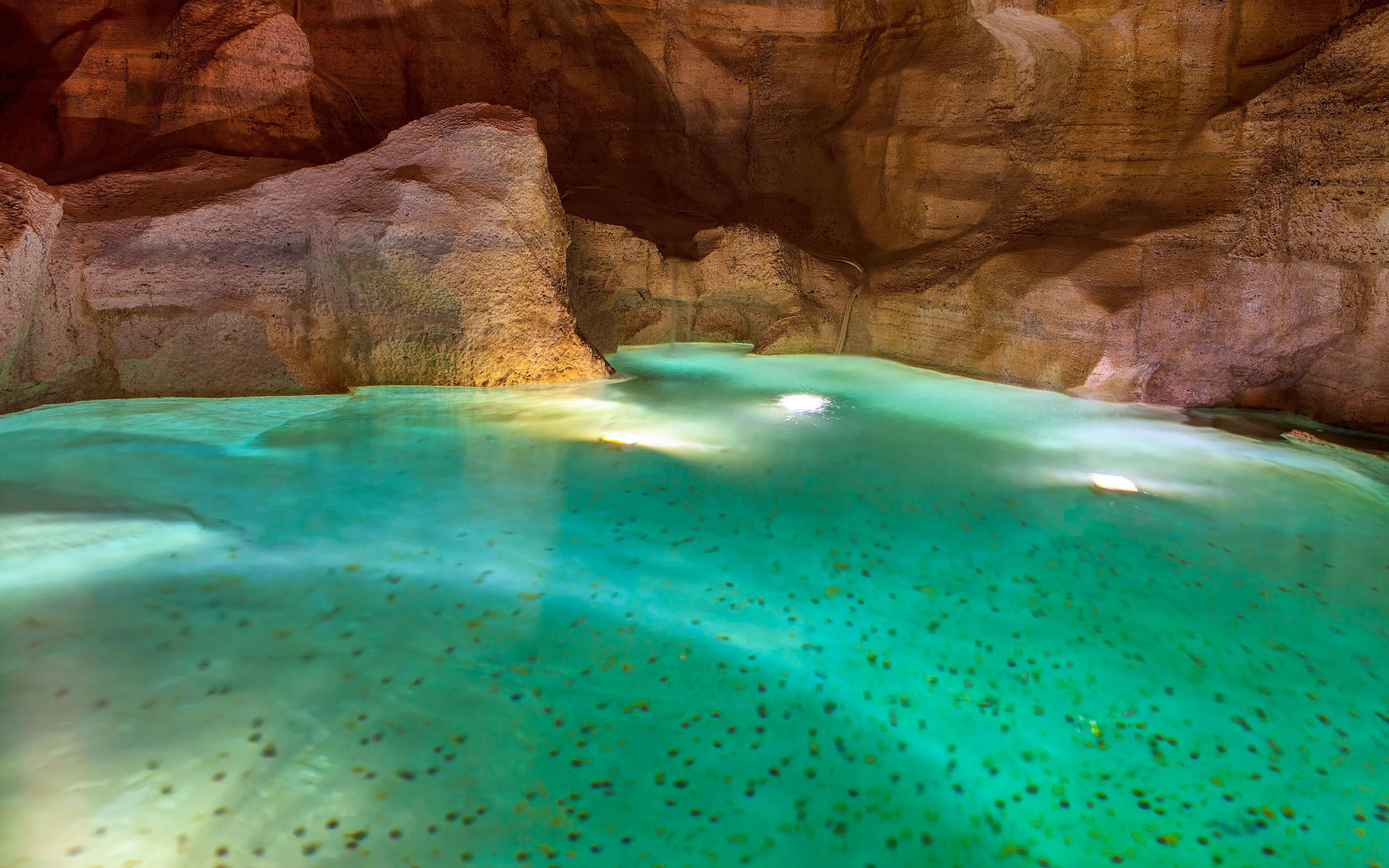 Underground water pool in Trevi District, Rome, part of guided tour.