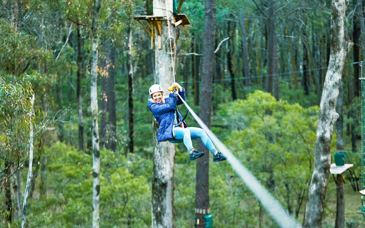 Ziplining through Ludlow Tuart Forest, Western Australia.