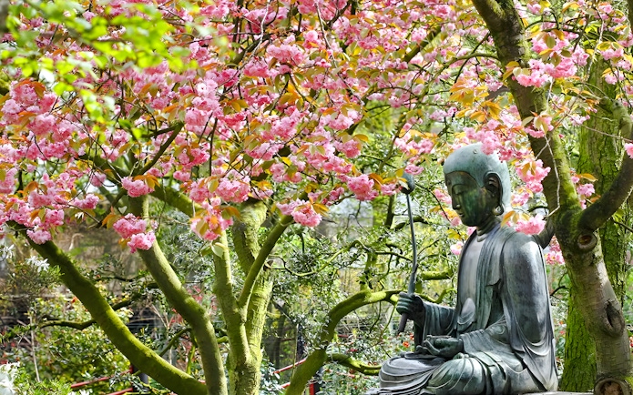 Buddha statue under cherry blossom trees in a serene garden setting.
