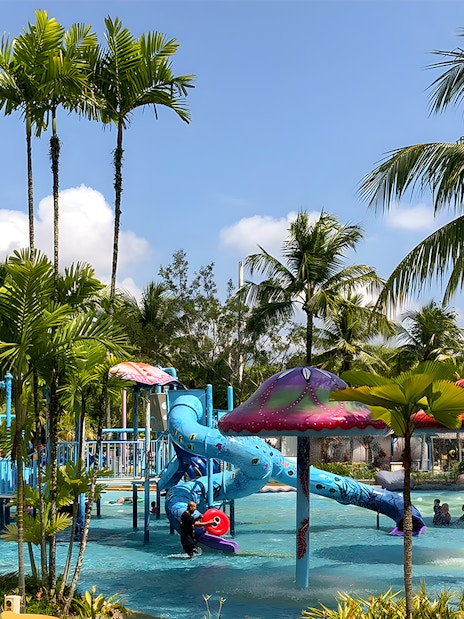 Family enjoying water slides at A'Famosa Melaka Waterpark, Malaysia, surrounded by palm trees.