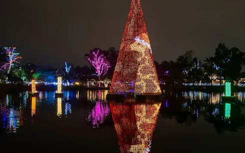 Holiday lights display at Phoenix Zoo with colorful reflections on water.