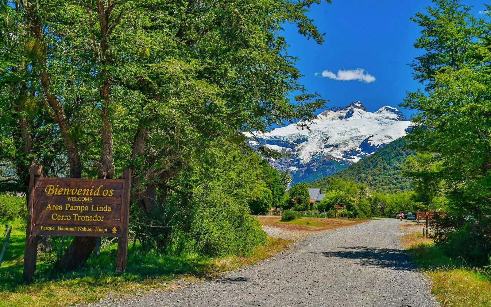 Entrance road with forest and Mount Tronador in Nahuel Huapi National Park.