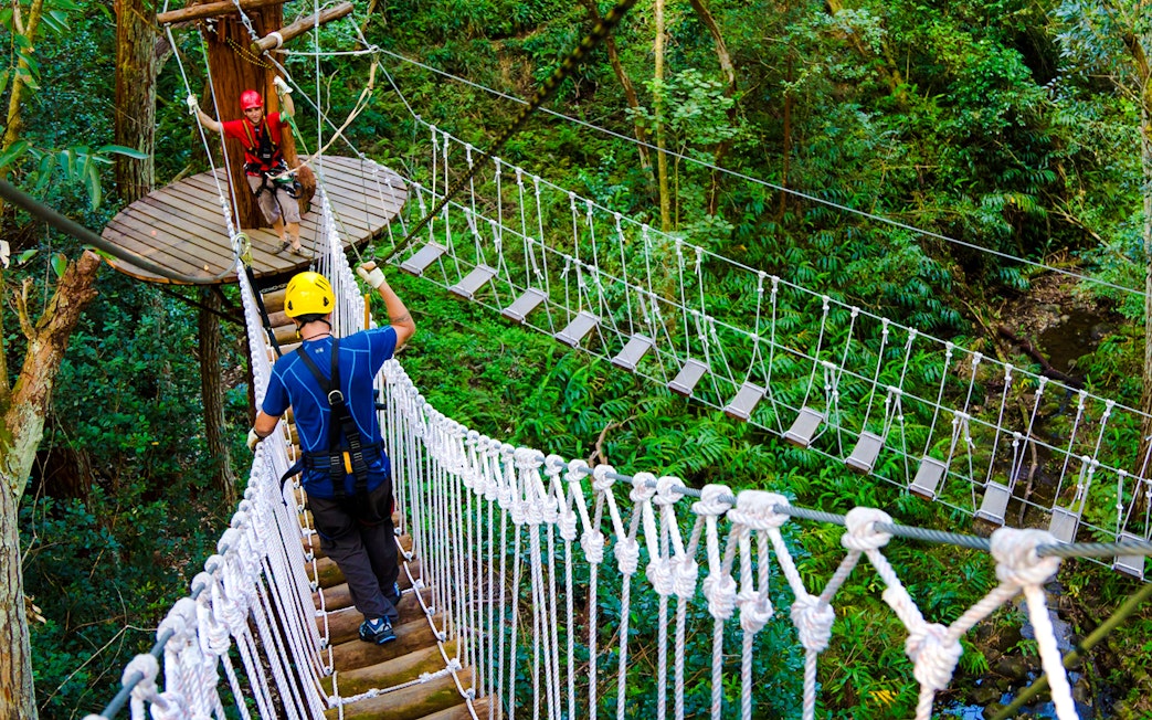 Guests crossing rope bridge on Kohala Canopy Adventure in lush forest.