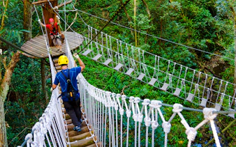 Guests crossing rope bridge on Kohala Canopy Adventure in lush forest.