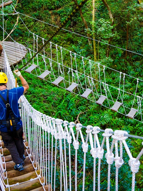 Guests crossing rope bridge on Kohala Canopy Adventure in lush forest.