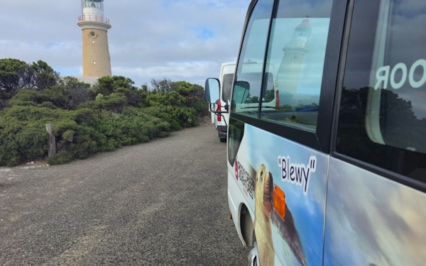 Adelaide: Kangaroo Island 2 Day 1 night Wildlife Adventure