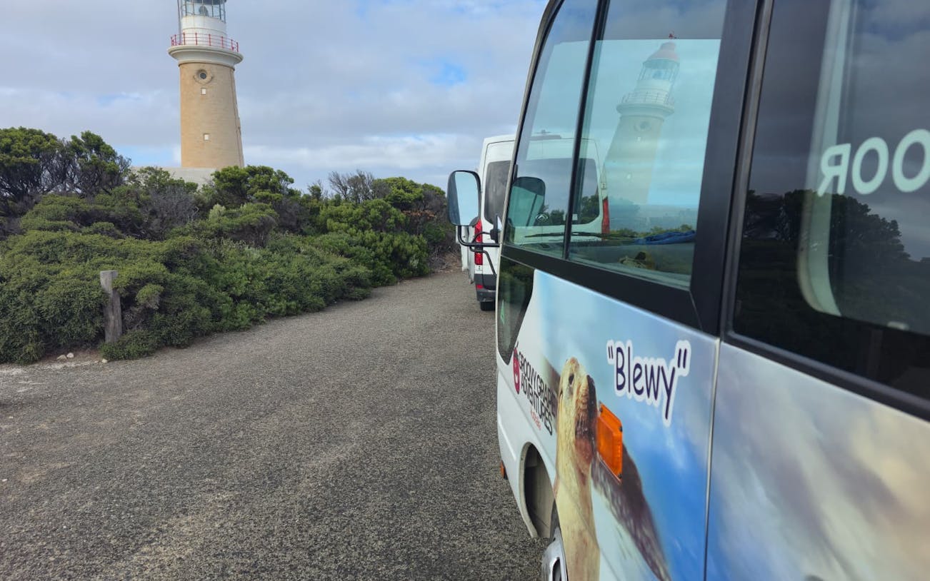 adelaide: kangaroo island 2 day 1 night wildlife adventure-1