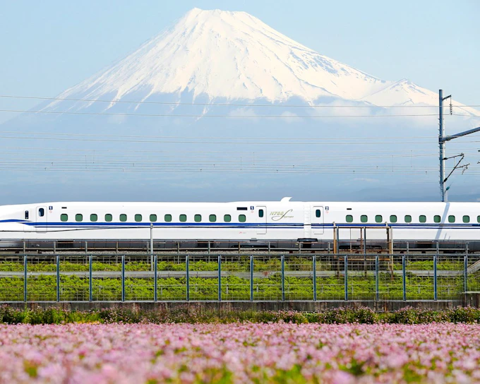 Tokaido Shinkansen One-Way Ticket (Standard Car) (Product 43454)