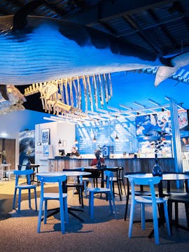 Perlan Museum Tickets