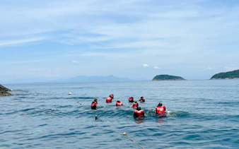 from hoi an or da nang: cham island snorkeling or scuba diving tour-3