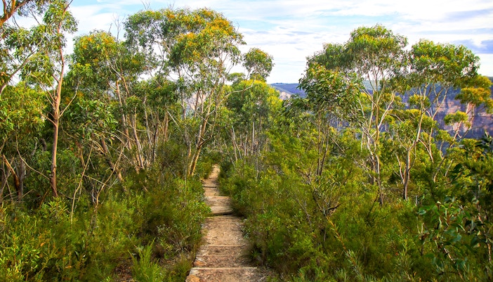 Blue Mountains tickets