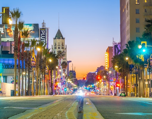 Hollywood Boulevard at dusk with neon lights and palm trees, Los Angeles.