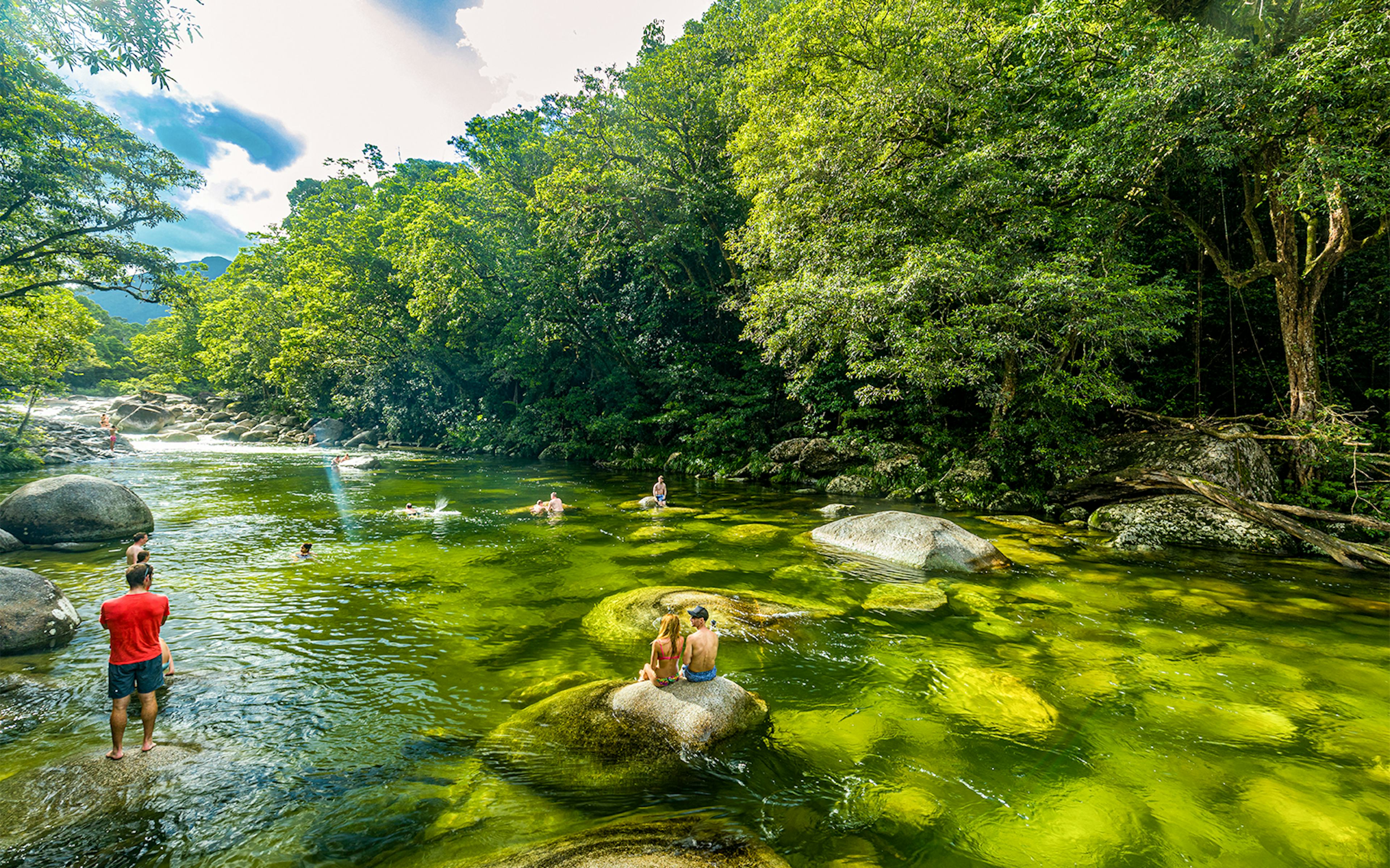 People swimming in a clear river surrounded by lush rainforest in Daintree National Park.