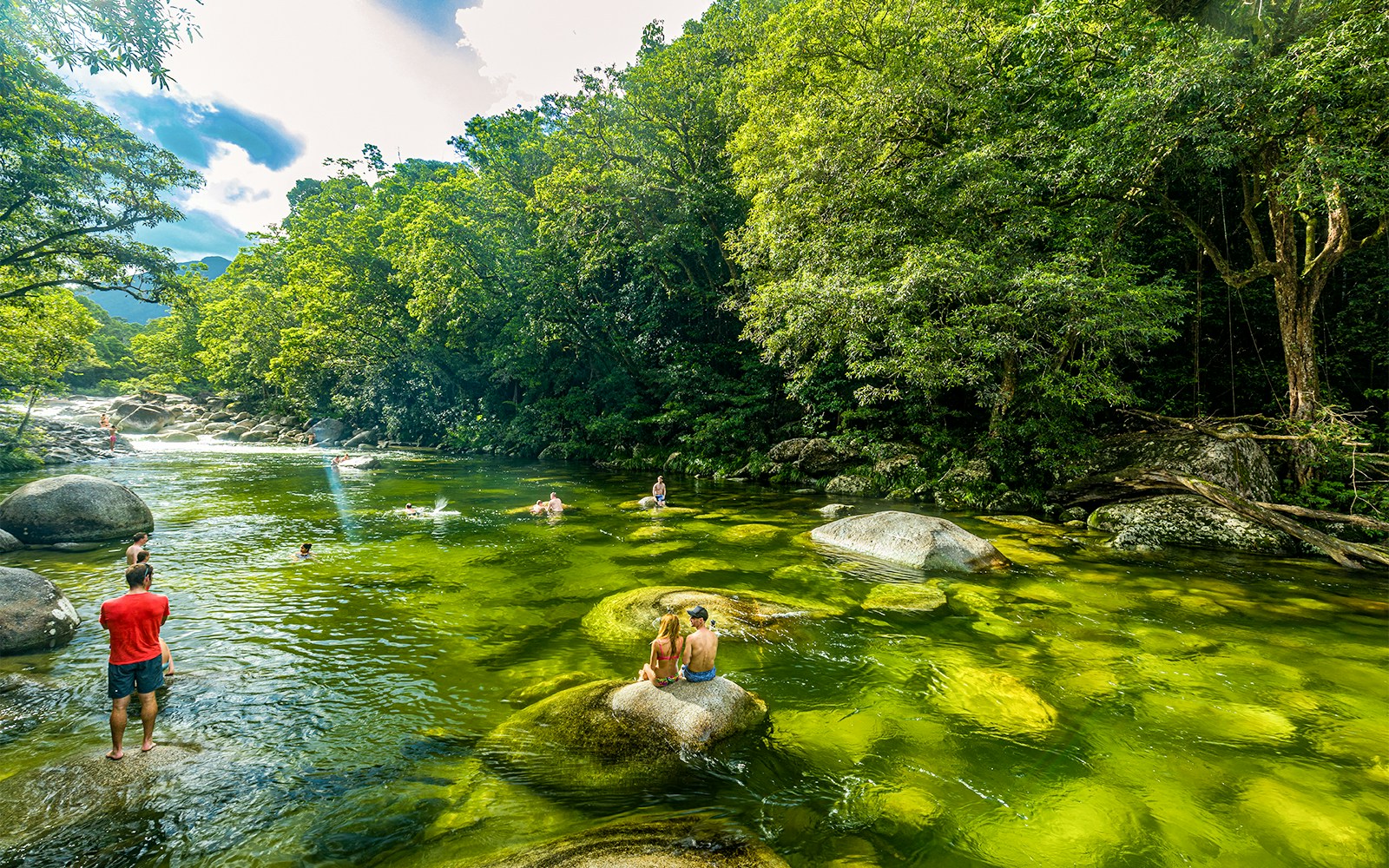 People swimming in a clear river surrounded by lush rainforest in Daintree National Park.