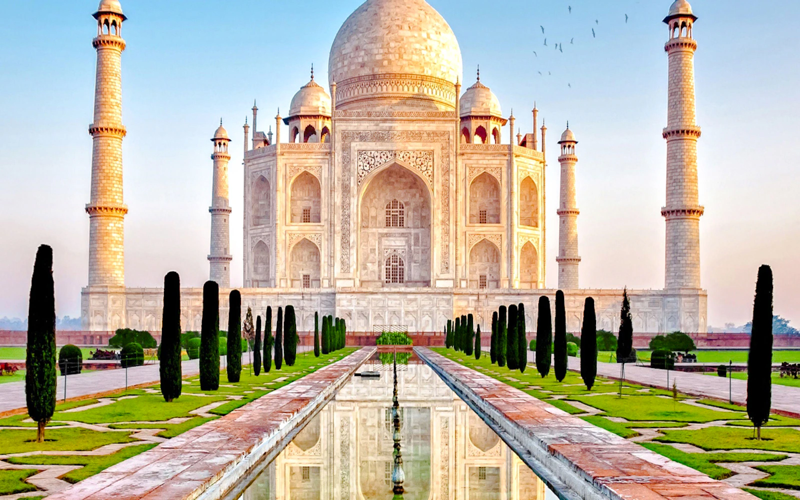 From Delhi: Private Taj Mahal and Agra Fort Guided Tour by Car