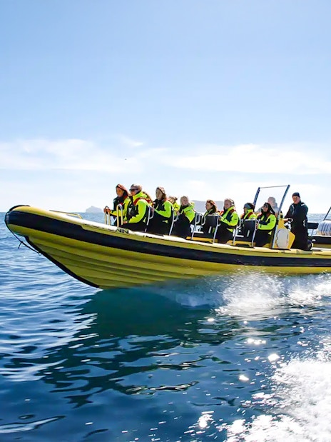 Guests on RIB speedboat in Reykjavik heading to whale watching.