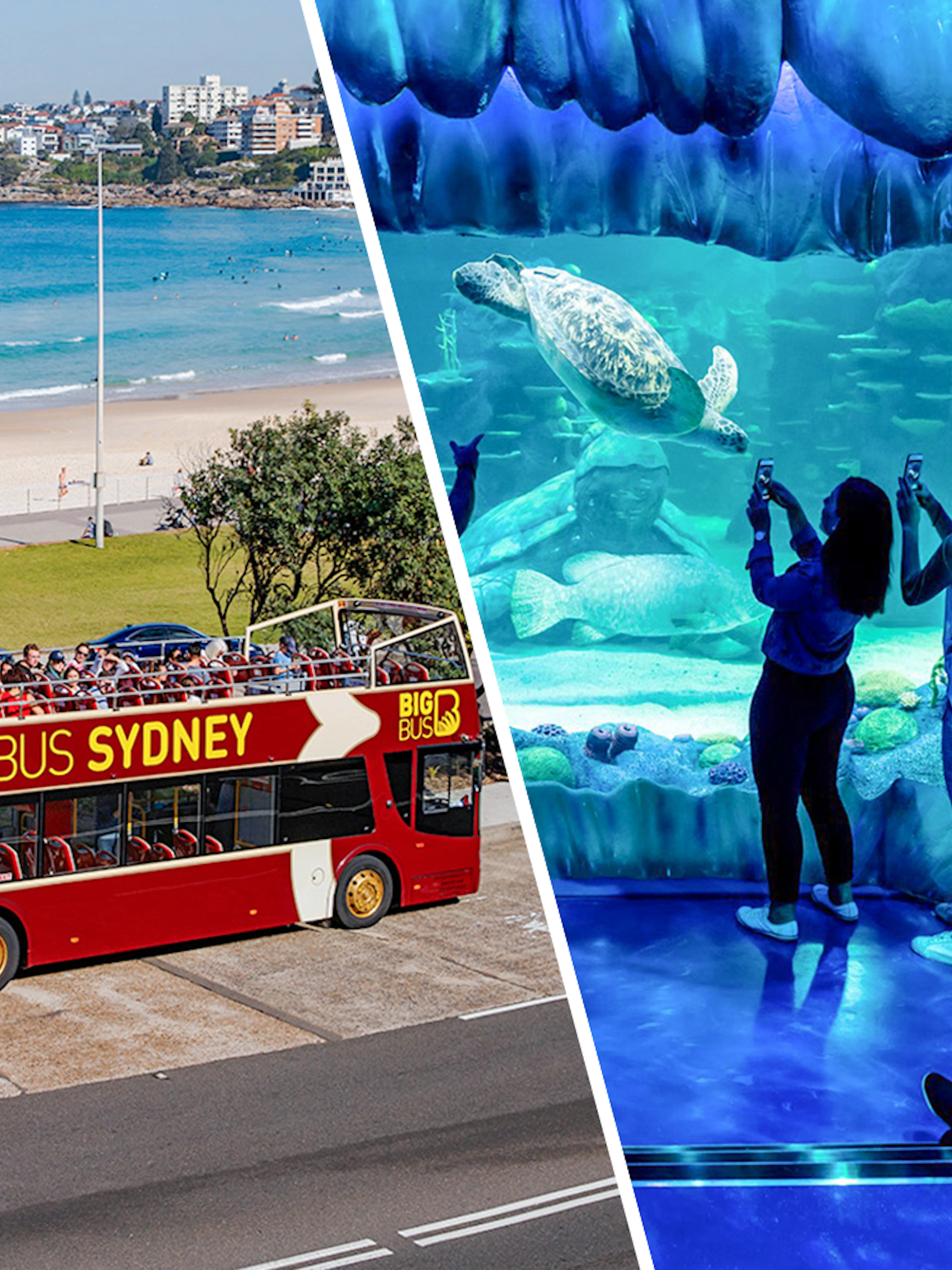 Big Bus Sydney tour by Bondi Beach and visitors at SEA LIFE Sydney aquarium.