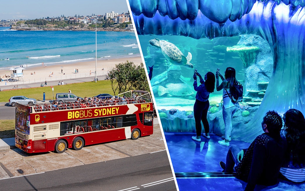Big Bus Sydney tour by Bondi Beach and visitors at SEA LIFE Sydney aquarium.