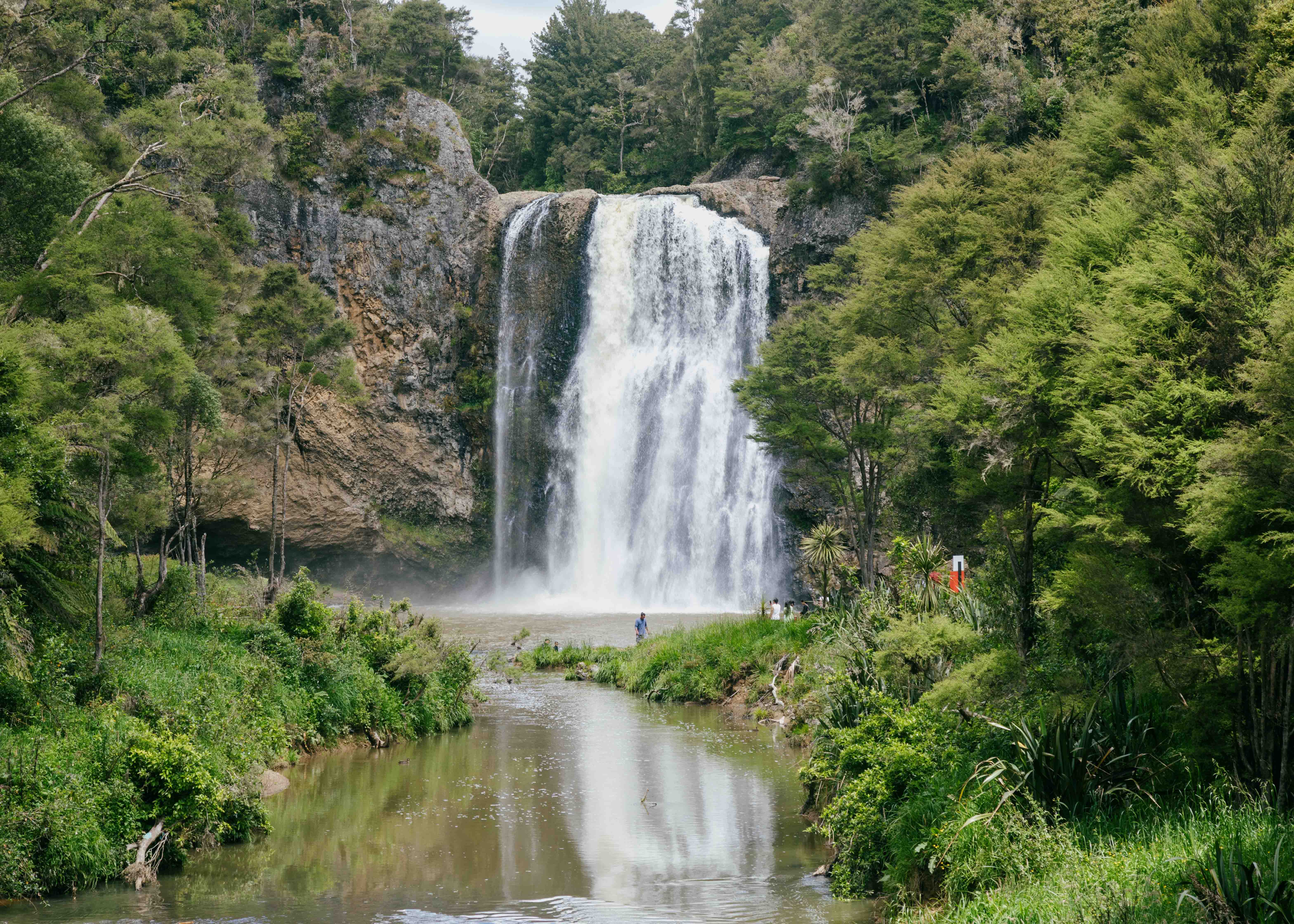 Day Trips from Auckland