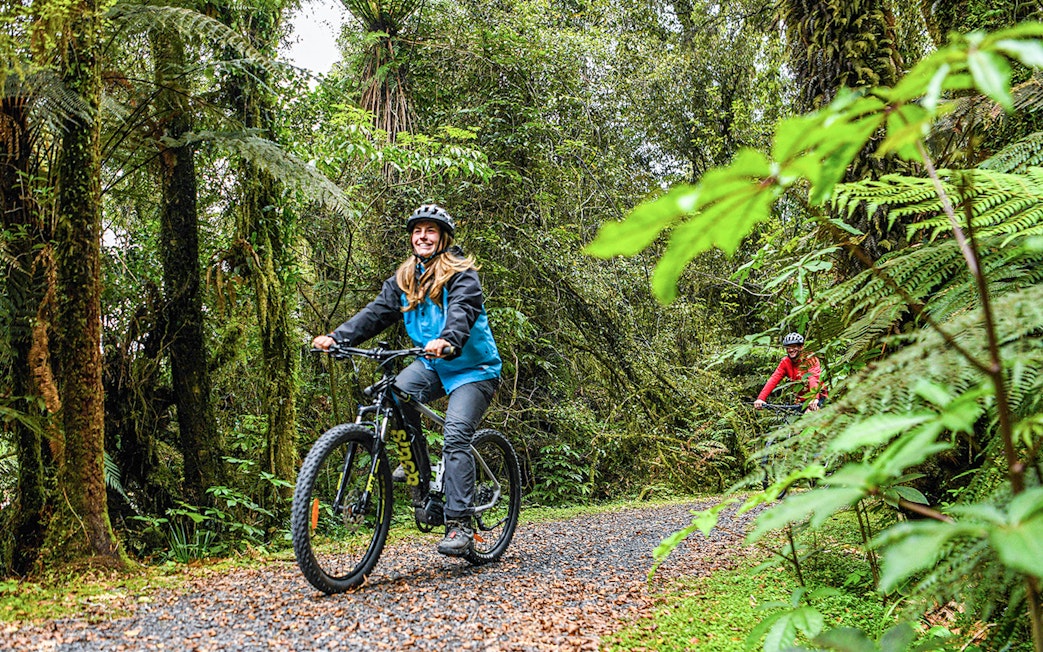 Tour group biking through lush forest trail in Fox Glacier Valley.
