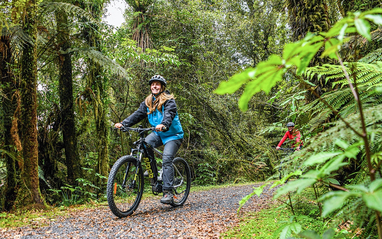 Tour group biking through lush forest trail in Fox Glacier Valley.