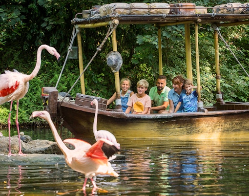 Visitors on a boat ride at Bellewaerde Park, surrounded by flamingos.