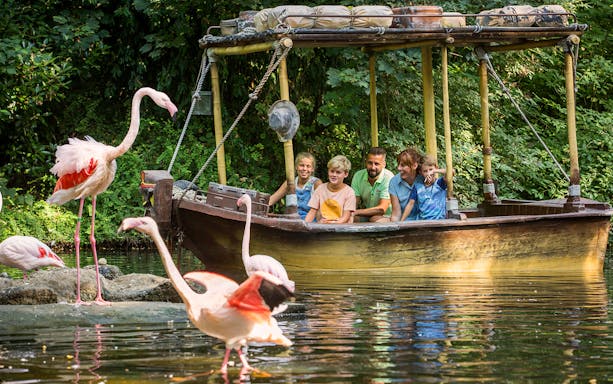 Visitors on a boat ride at Bellewaerde Park, surrounded by flamingos.