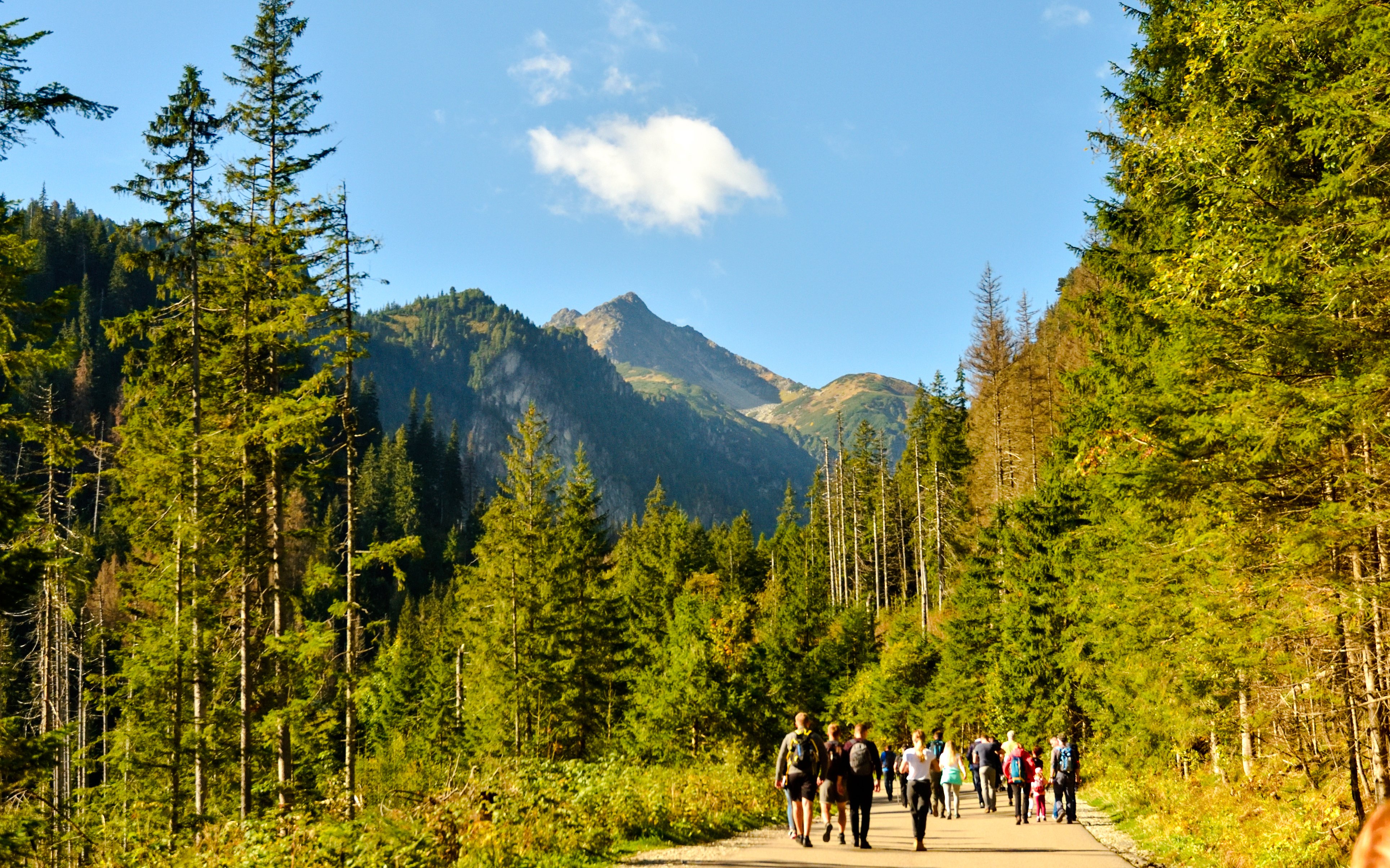 Hikers on the path to Morskie Oko lake, surrounded by trees and mountains, Zakopane, Poland.