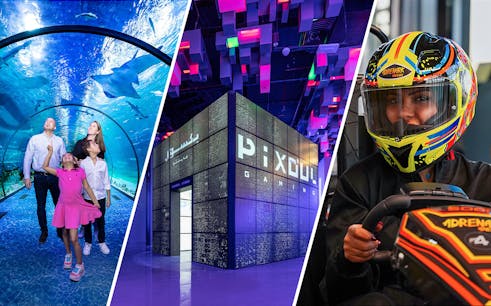 combo: national aquarium + pixoul gaming voucher + adrenark adventure tickets-1