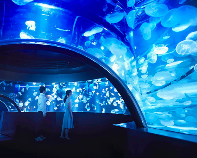 Tickets to Kyoto Aquarium