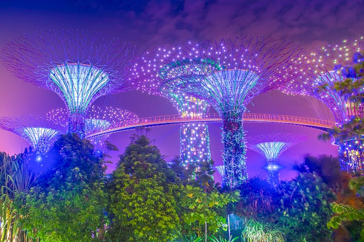 Visitors walking on the OCBC Skyway at Gardens by the Bay, Singapore, with Supertree Grove in view.