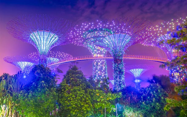 OCBC Skyway illuminated at night in Gardens by the Bay, Singapore.
