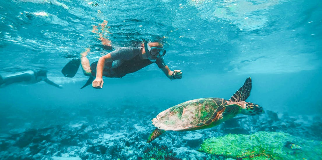 Snorkeling