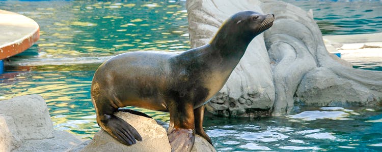 Attractions in Madrid
