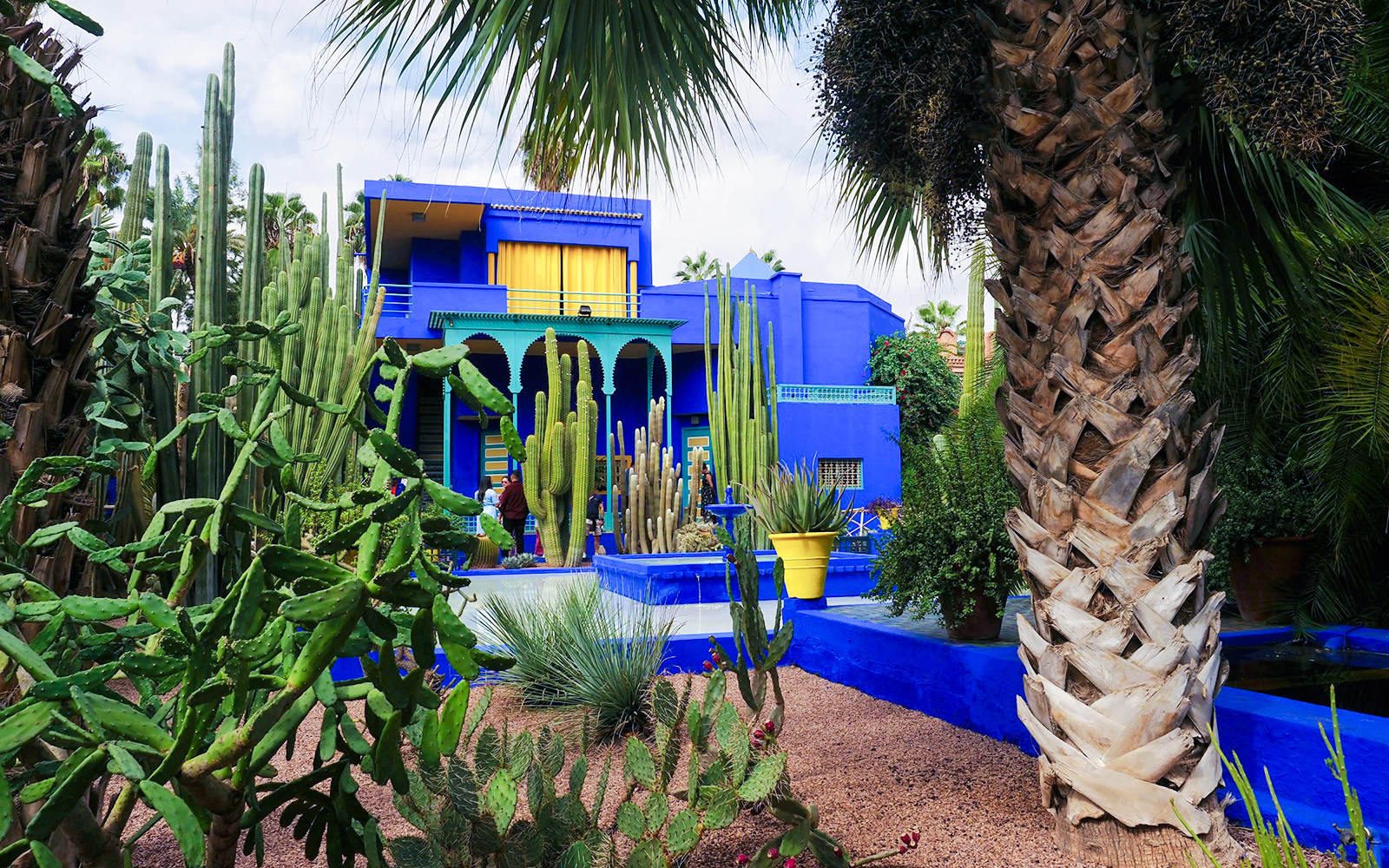 Jardin Majorelle in Marrakech with vibrant blue villa and lush cacti garden.