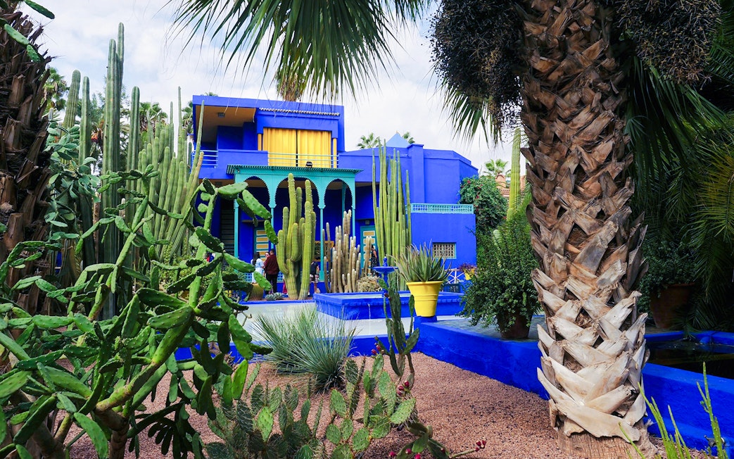 Jardin Majorelle in Marrakech with vibrant blue villa and lush cacti garden.