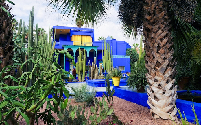 Jardin Majorelle in Marrakech with vibrant blue villa and lush cacti garden.