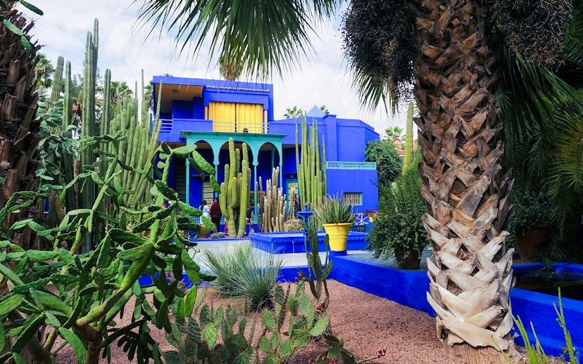 Jardin Majorelle in Marrakech with vibrant blue villa and lush cacti garden.