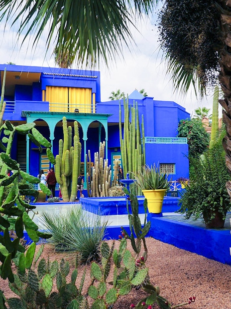 Jardin Majorelle in Marrakech with vibrant blue villa and lush cacti garden.