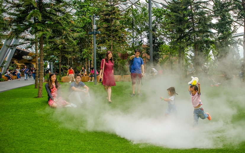 Children playing in mist at Foggy Bowls, Canopy Park, Jewel Changi.