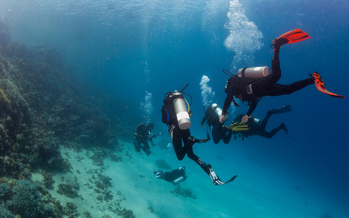 Scuba divers exploring coral reefs in Tanjung Benoa, Bali.