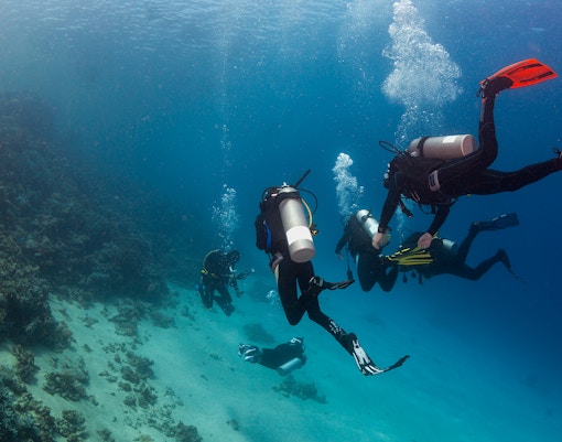 Scuba divers Great Barrier Reef