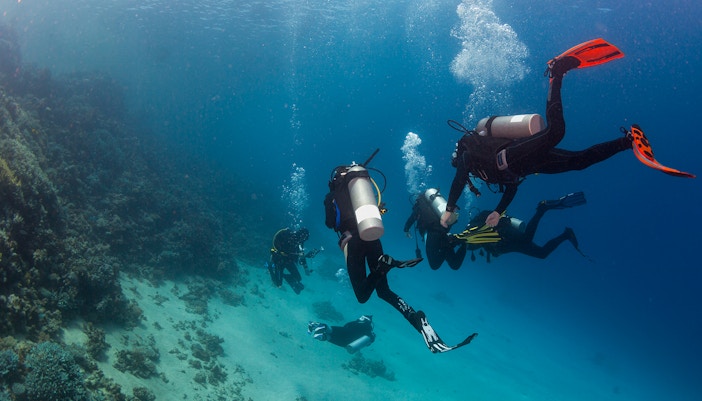 Scuba divers exploring coral reefs in Tanjung Benoa, Bali.