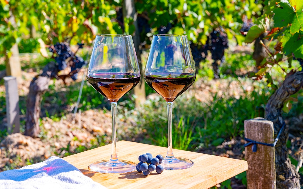 Two glasses of red wine on a table in a Saint-Emilion vineyard.