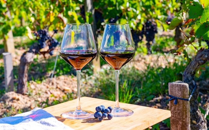 Two glasses of red wine on a table in a Saint-Emilion vineyard.