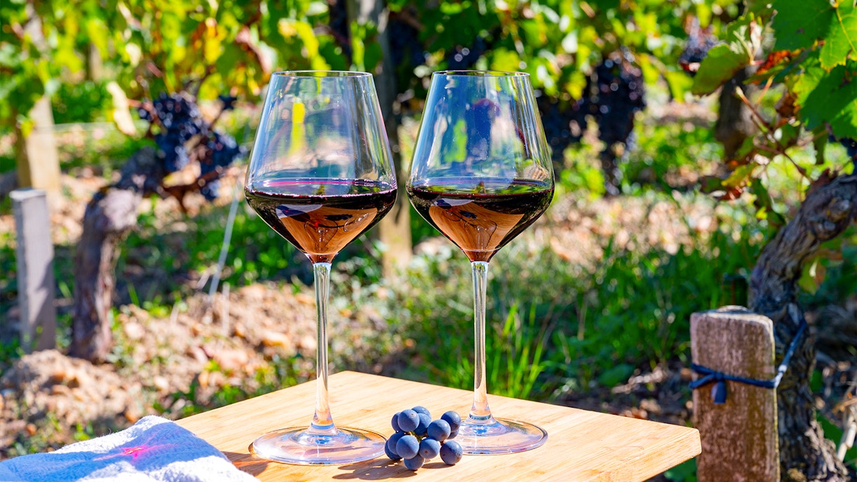 Two glasses of red wine on a table in a Saint-Emilion vineyard.