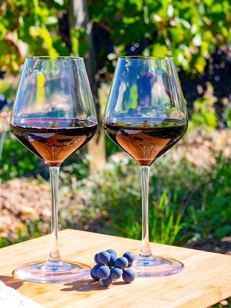 Two glasses of red wine on a table in a Saint-Emilion vineyard.