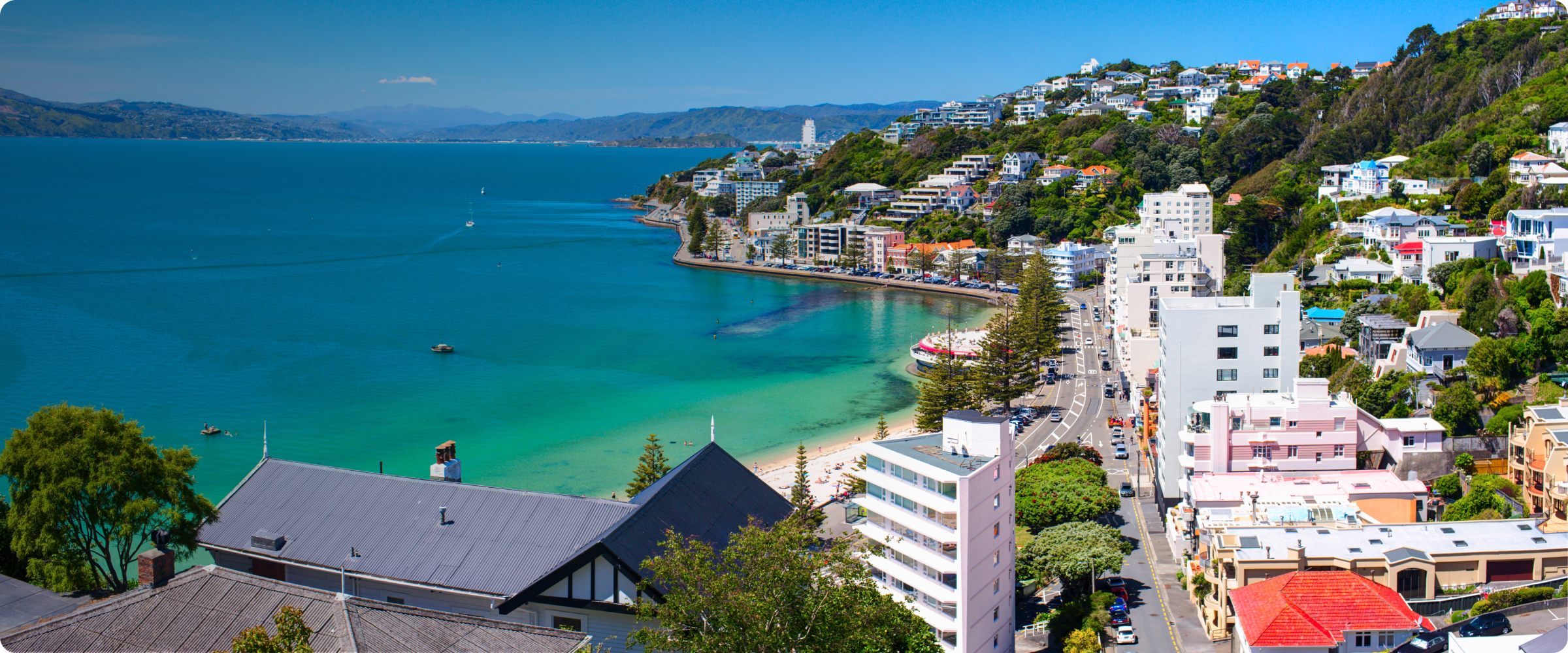 Things To Do In Wellington Attractions, Tours, Activities in 2023