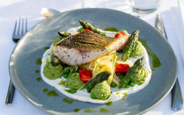 Grilled fish with asparagus and vegetables on Le Diamant Bleu Seine River dinner cruise.
