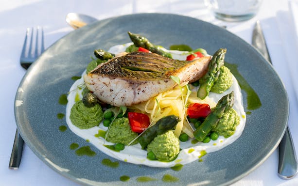 Grilled fish with asparagus and vegetables on Le Diamant Bleu Seine River dinner cruise.